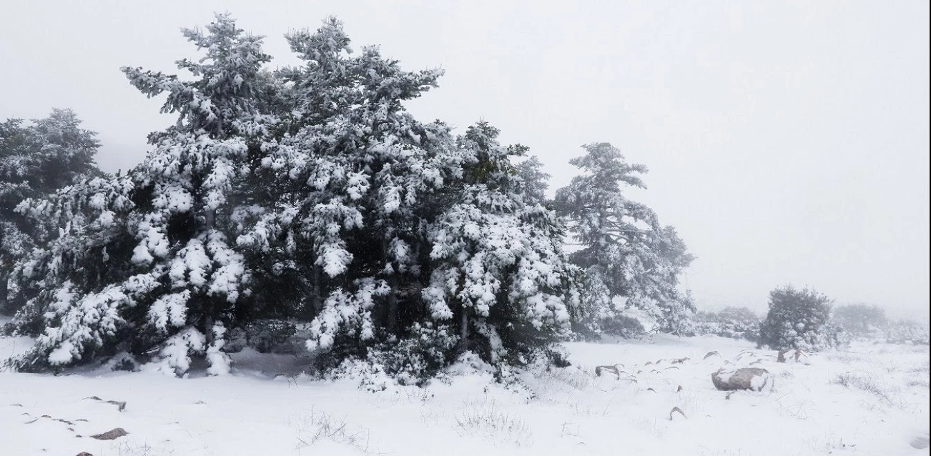 Ποιος και γιατί δίνει ονόματα στις κακοκαιρίες; – Κάποιος «βαφτίζει» τα βαρομετρικά και υπάρχει σημαντικός λόγος για αυτό